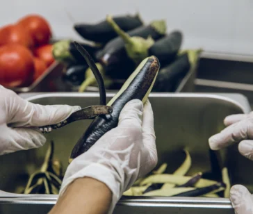 Food Processors Food Processors