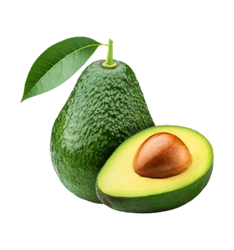 Avacado