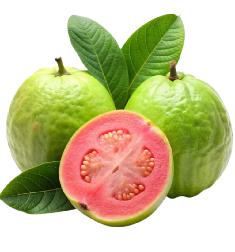Guava