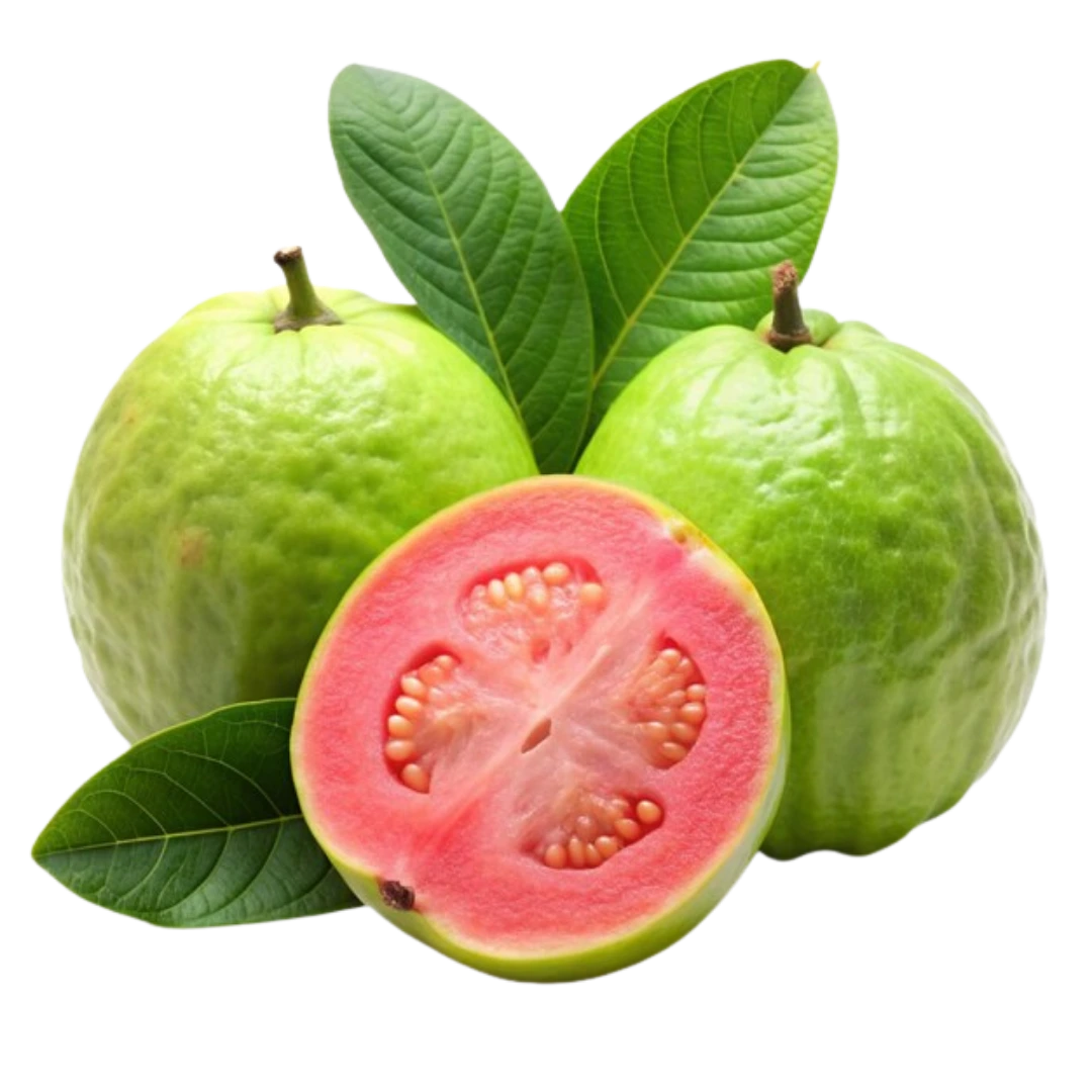 Guava Guava
