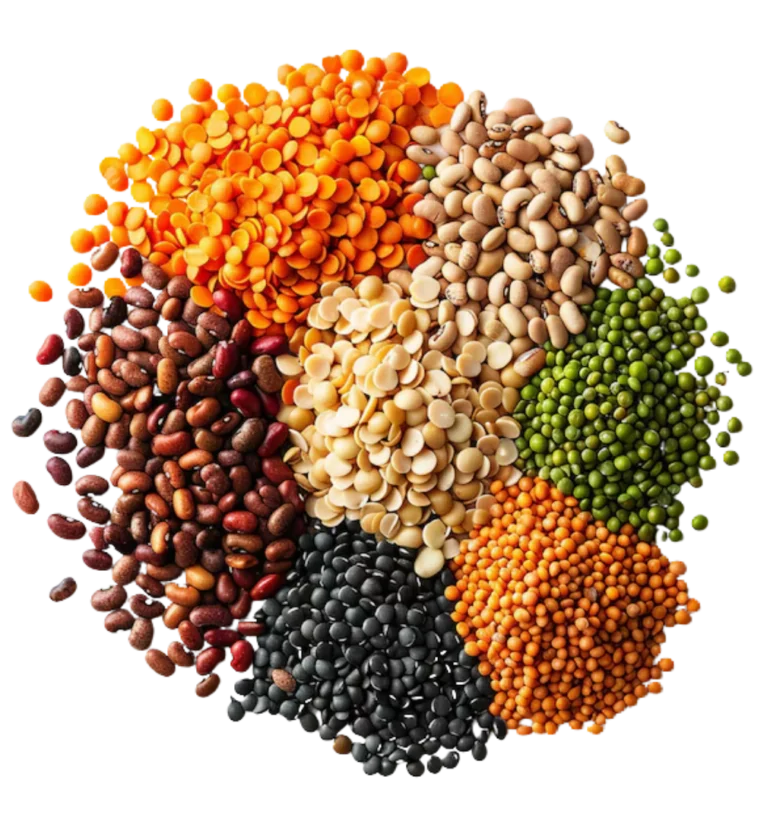Pulses