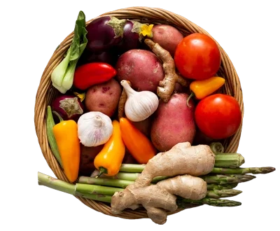 Right Object (Product) Right Object (Product)