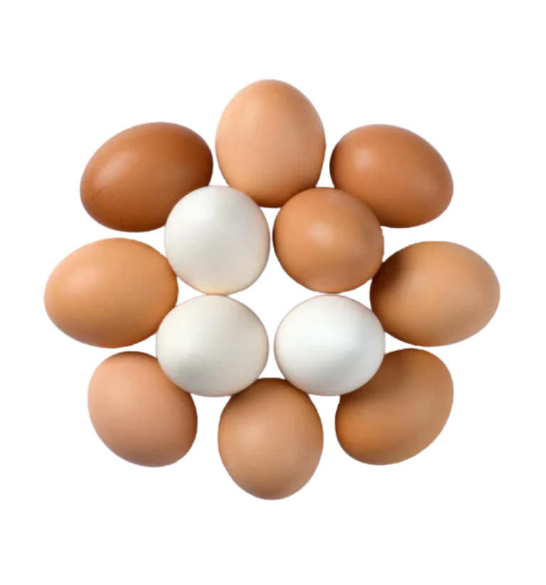 Table Eggs White Brown